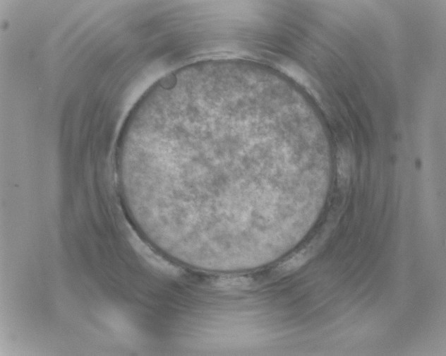 X0000074961466200609291900