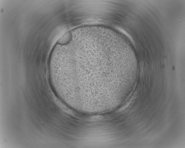 X0000074961467200609291900