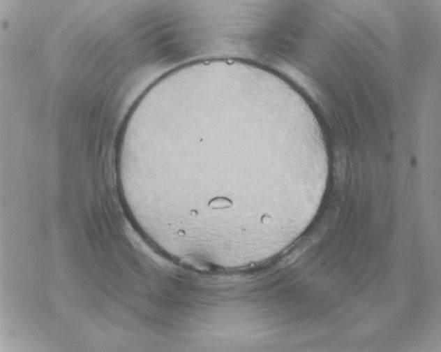 X0000074961468200609291900