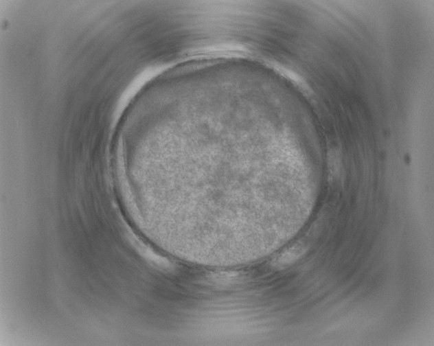 X0000074961470200609291900