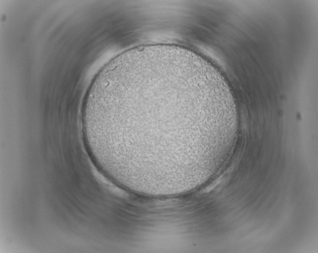 X0000074961471200609291900