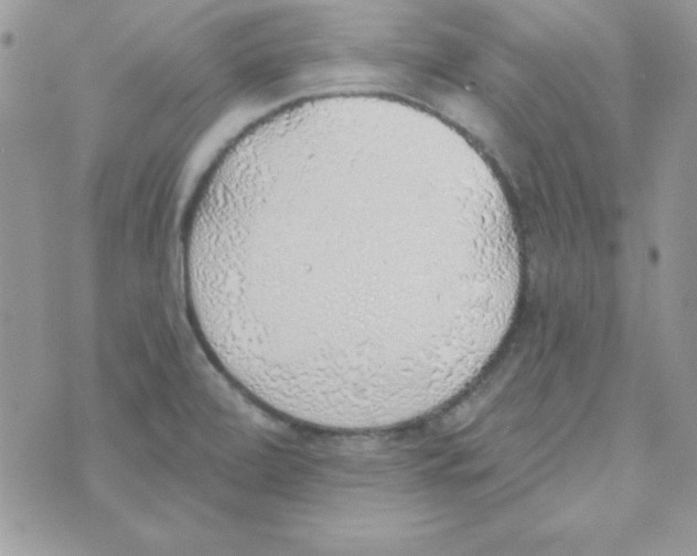 X0000074961472200609291900