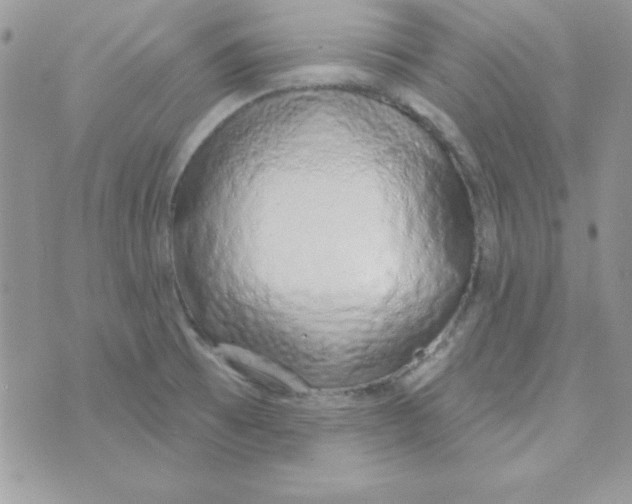 X0000074961473200609291900