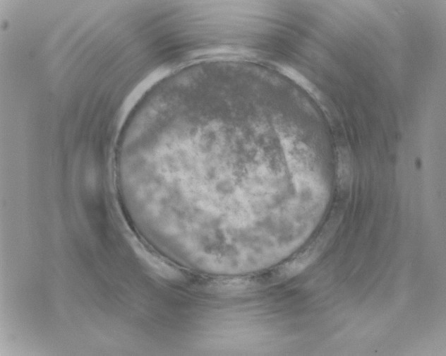 X0000074961474200609291900