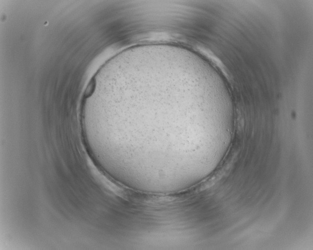 X0000074961475200609291900