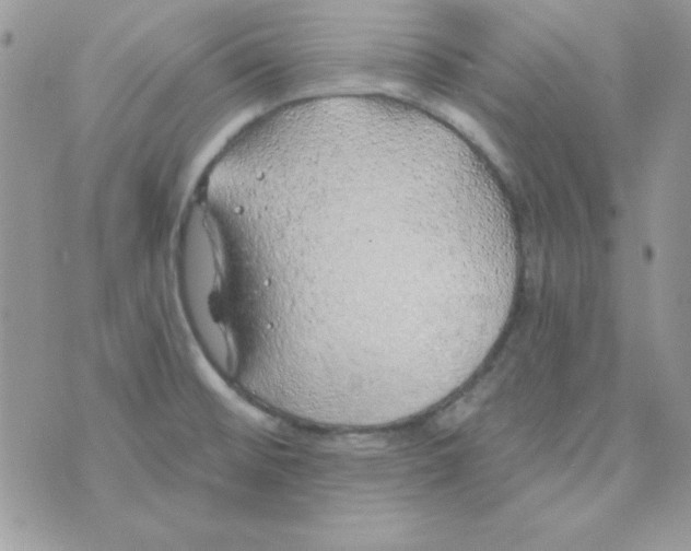 X0000074961476200609291900