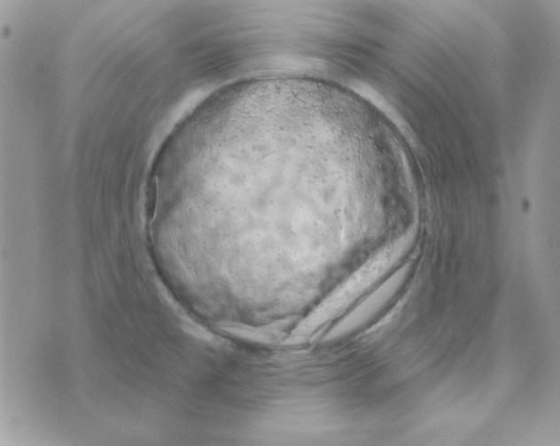 X0000074961477200609291900