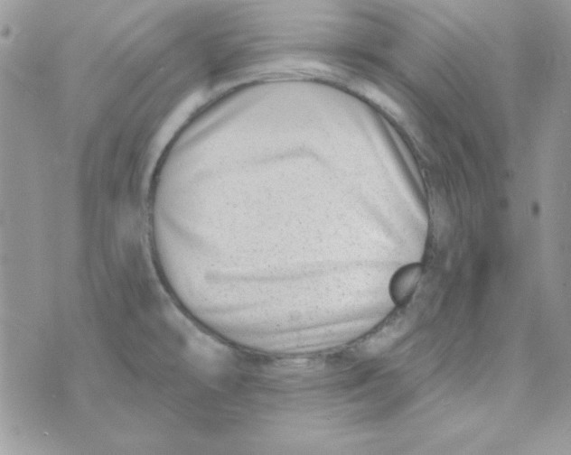 X0000074961478200609291900