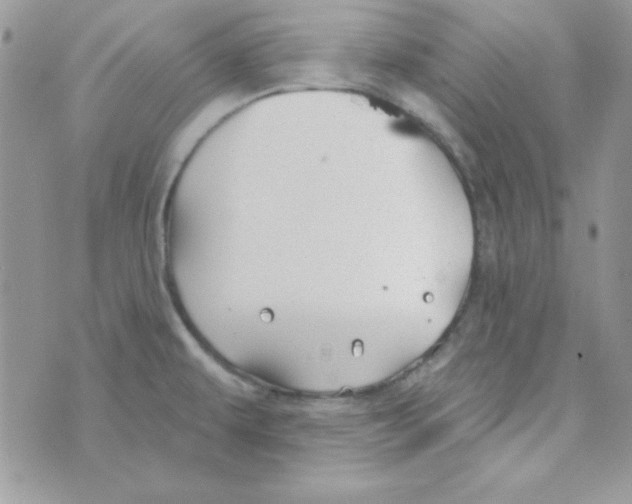 X0000074961479200609291900