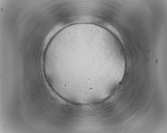 X0000074961480200609291900