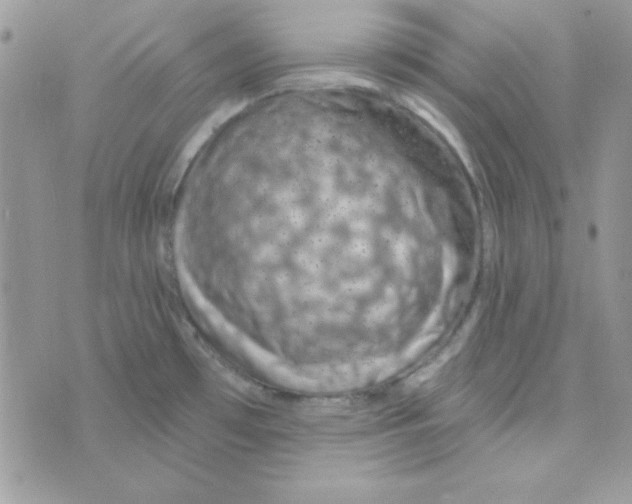 X0000074961481200609291900