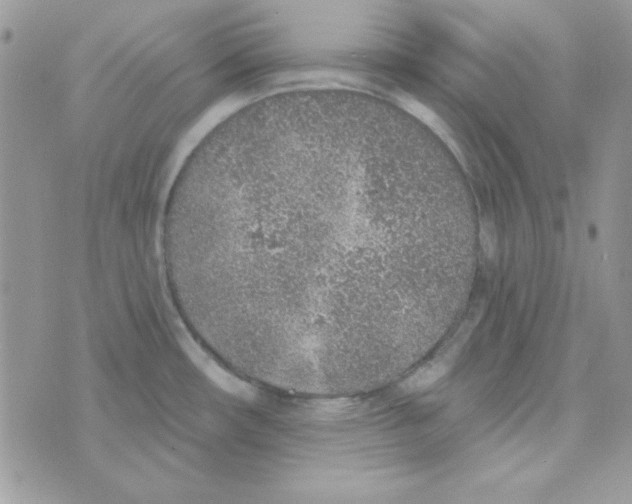 X0000074961482200609291900