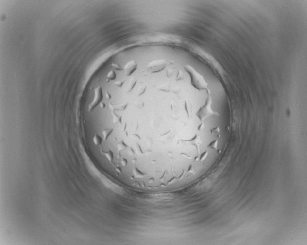 X0000074961483200609291900