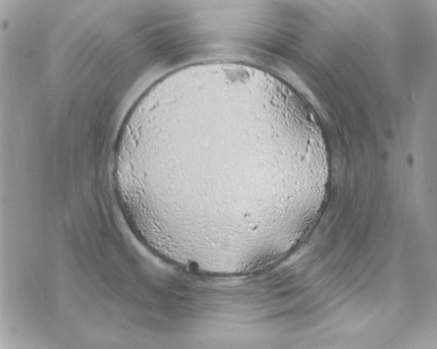 X0000074961484200609291900