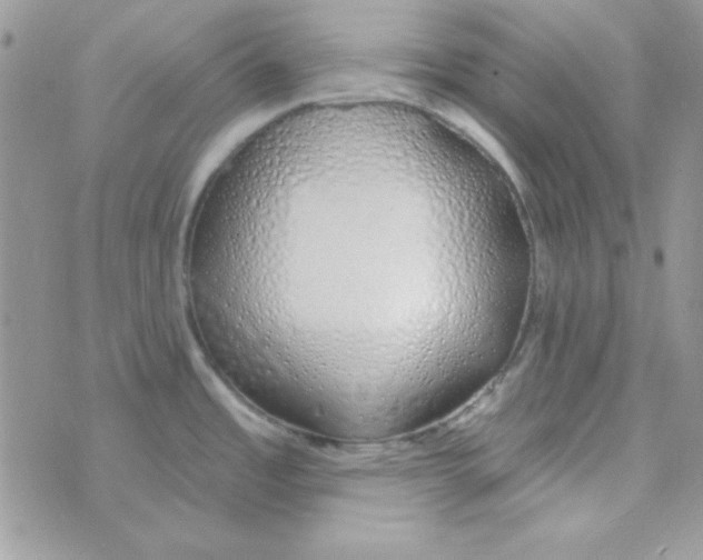 X0000074961485200609291900