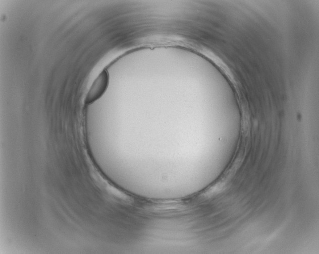 X0000074961486200609291900