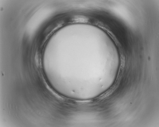 X0000074961487200609291900