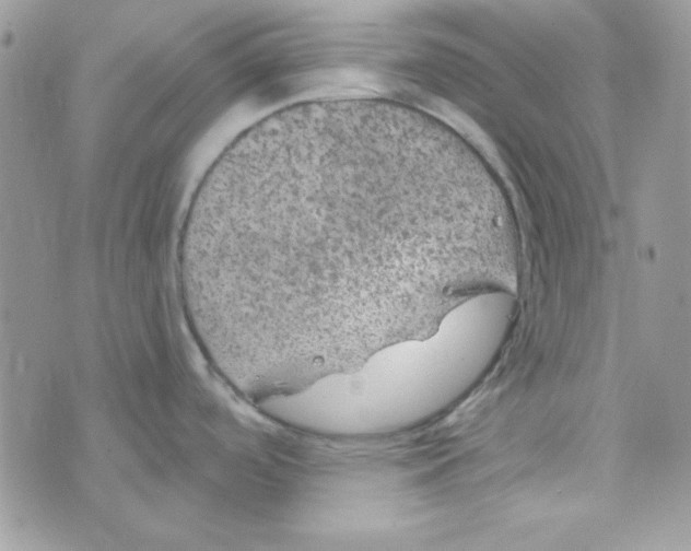 X0000074961488200609291900