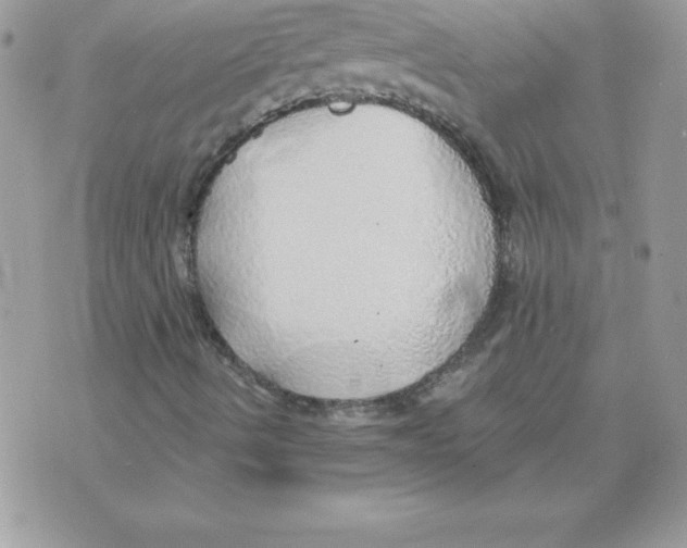 X0000074961490200609291859