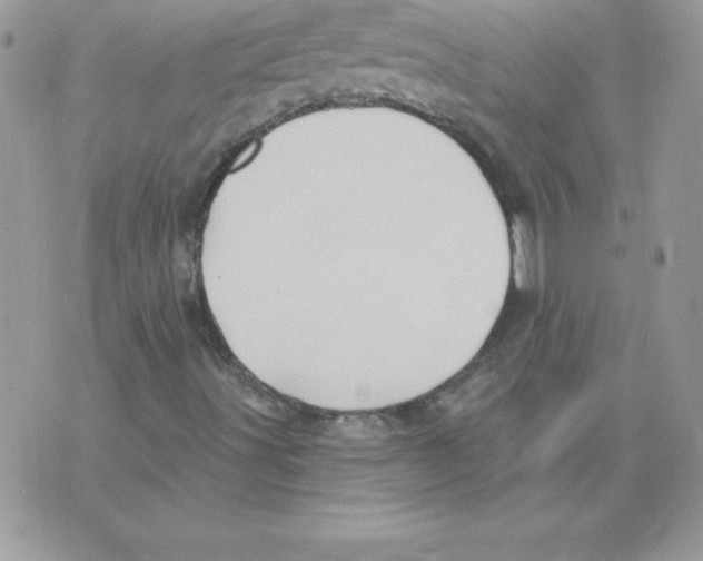 X0000074961491200609291859