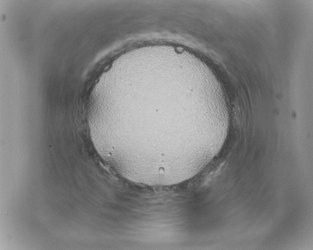 X0000074961494200609291859