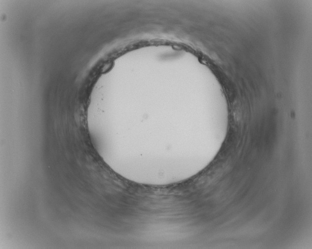 X0000074961495200609291859