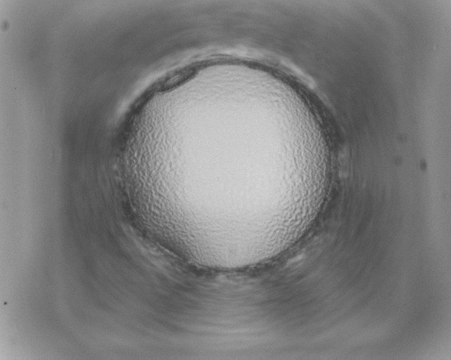 X0000074961496200609291859