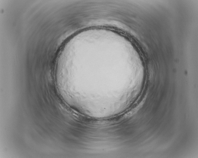 X0000074961497200609291859