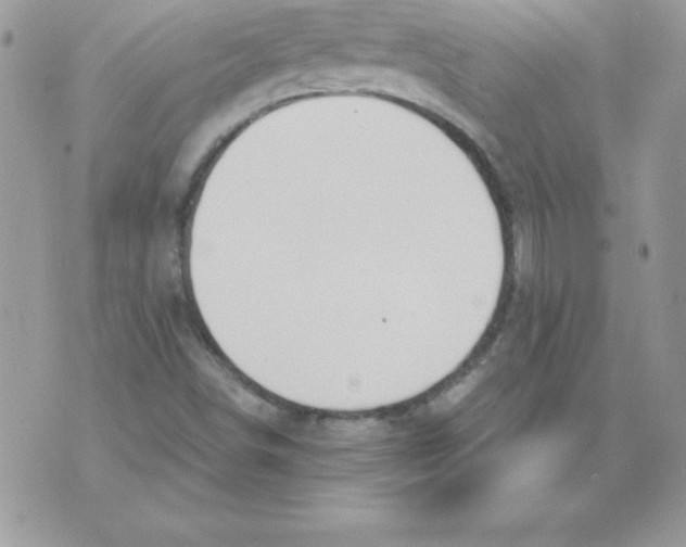 X0000074961498200609291859