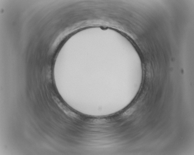 X0000074961499200609291859