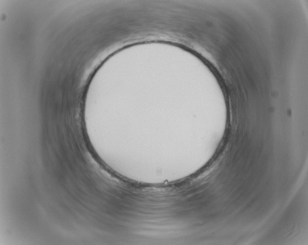 X0000074961500200609291859