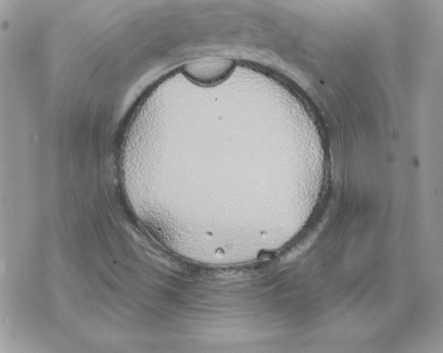 X0000074961501200609291859