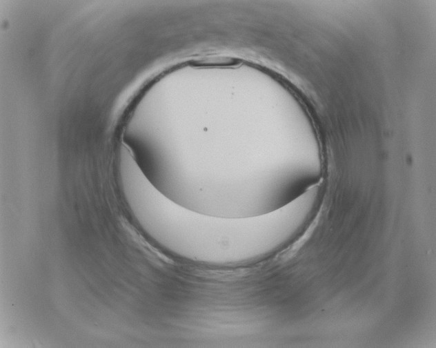 X0000074961502200609291859