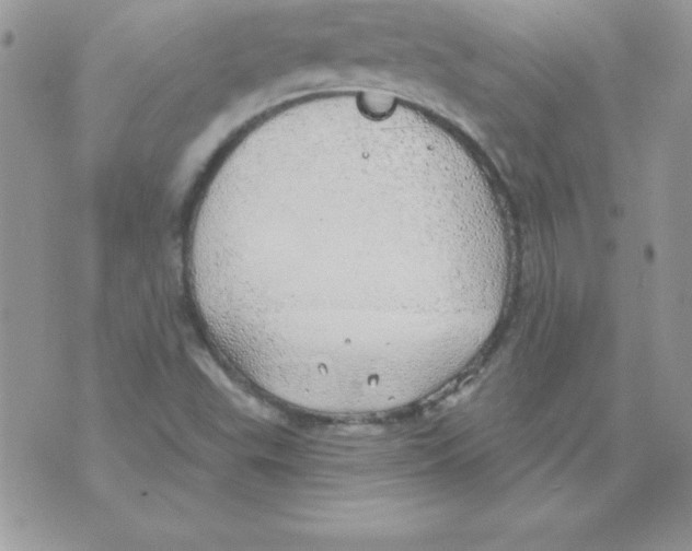 X0000074961503200609291859