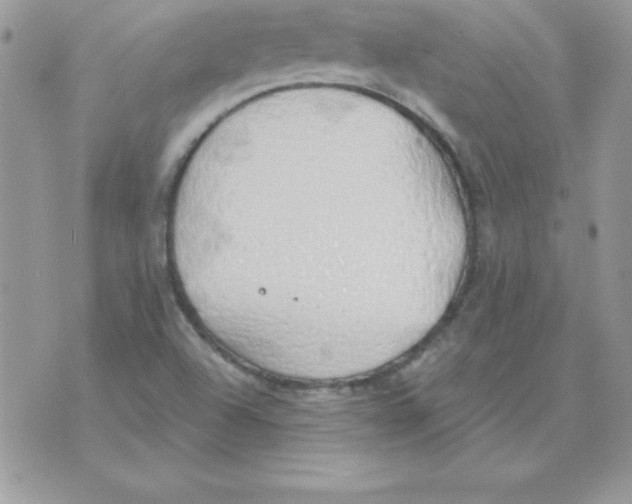 X0000074961504200609291859