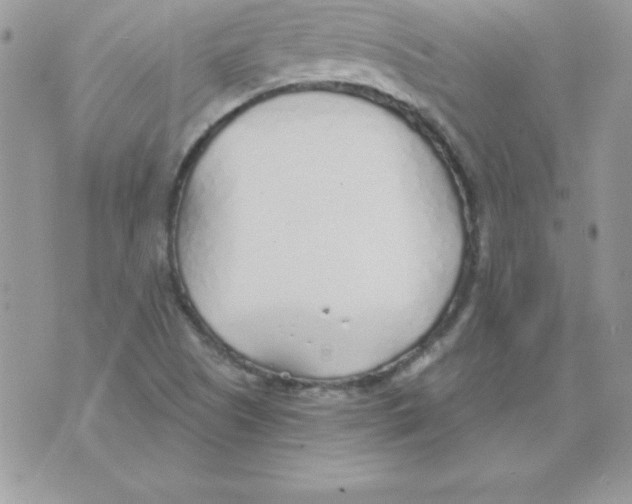 X0000074961505200609291859