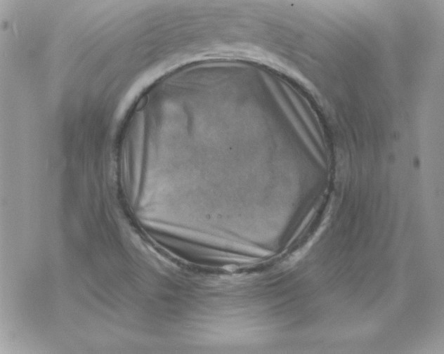 X0000074961506200609291859