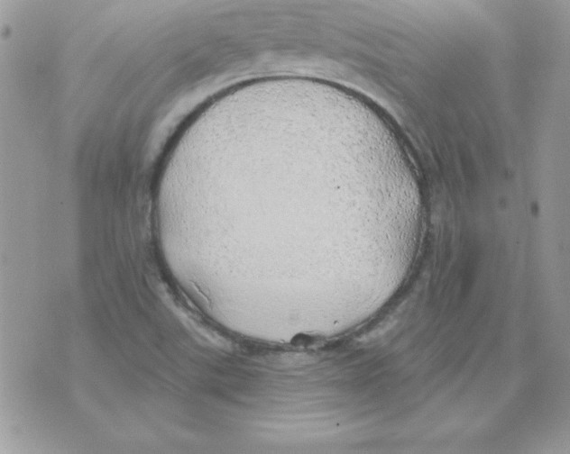 X0000074961507200609291859