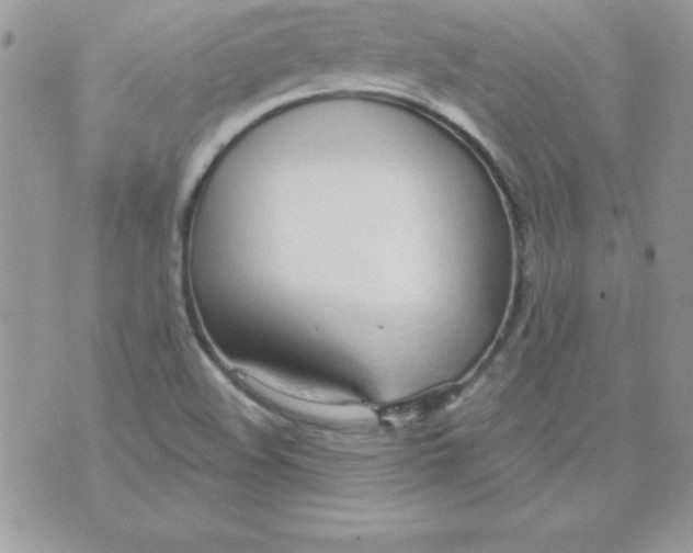 X0000074961508200609291859