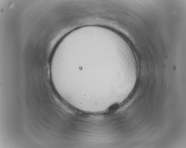 X0000074961509200609291859