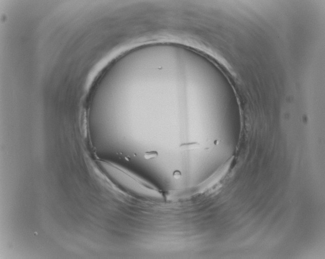 X0000074961510200609291859