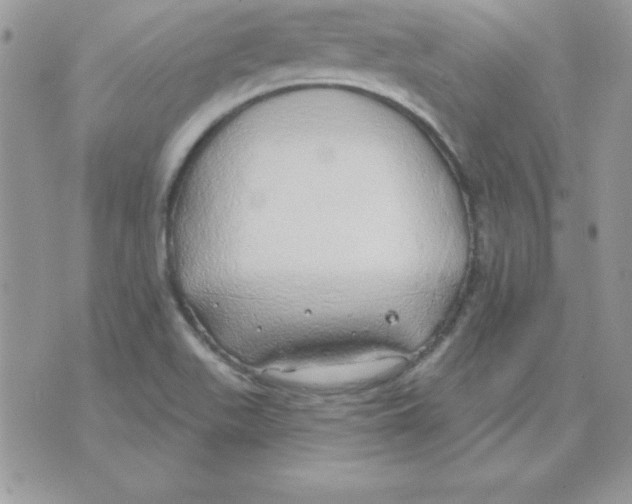 X0000074961511200609291859