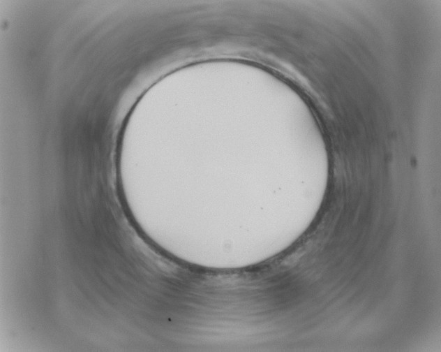 X0000074961512200609291859