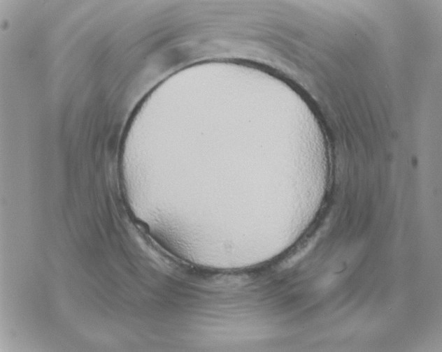 X0000074961513200609291859