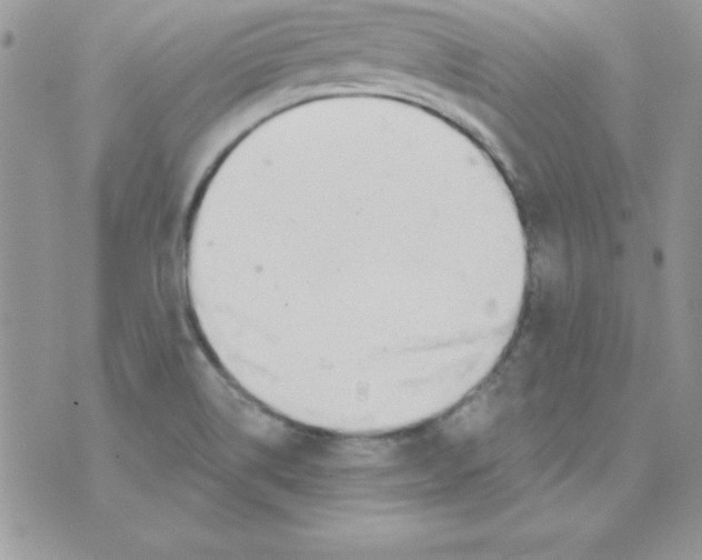 X0000074961514200609291859