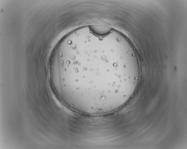 X0000074961515200609291859