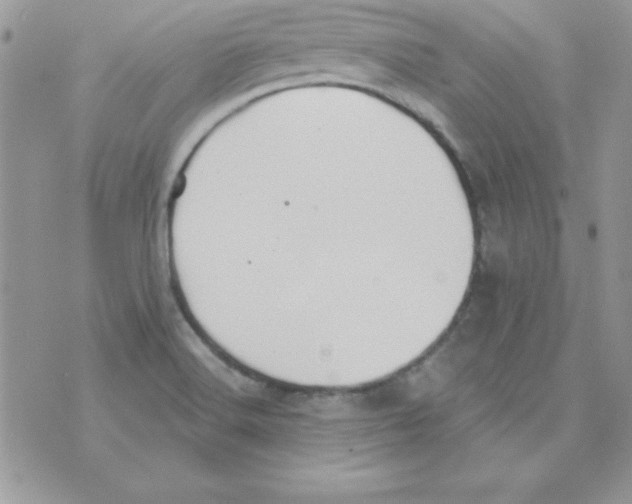 X0000074961516200609291859