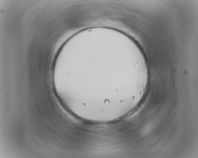 X0000074961517200609291859