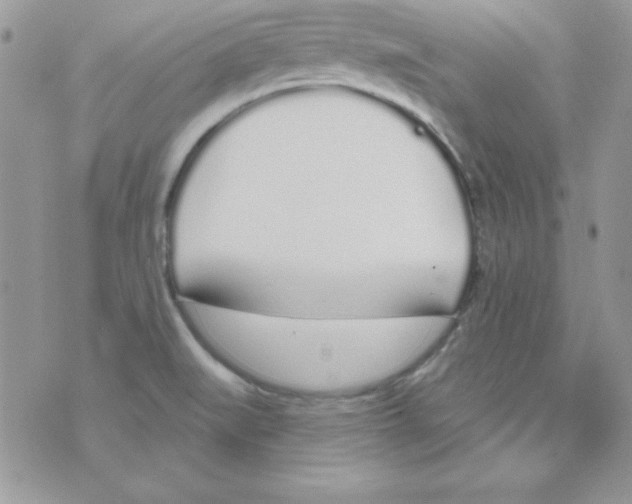 X0000074961519200609291900