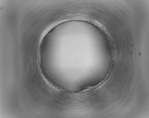 X0000074961520200609291900